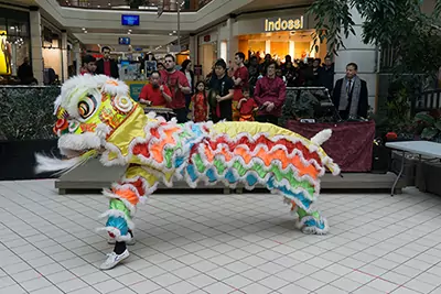 image-liondance performance