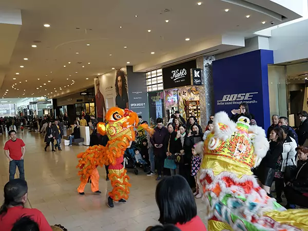 image-liondance performance for marketing and promotion